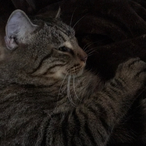 Meet your Posher, - Picture 1 of 1